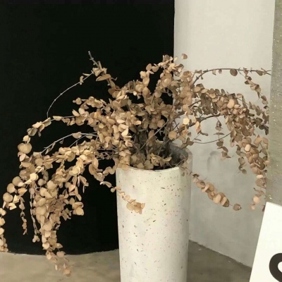 理塘FurryQQ群介绍